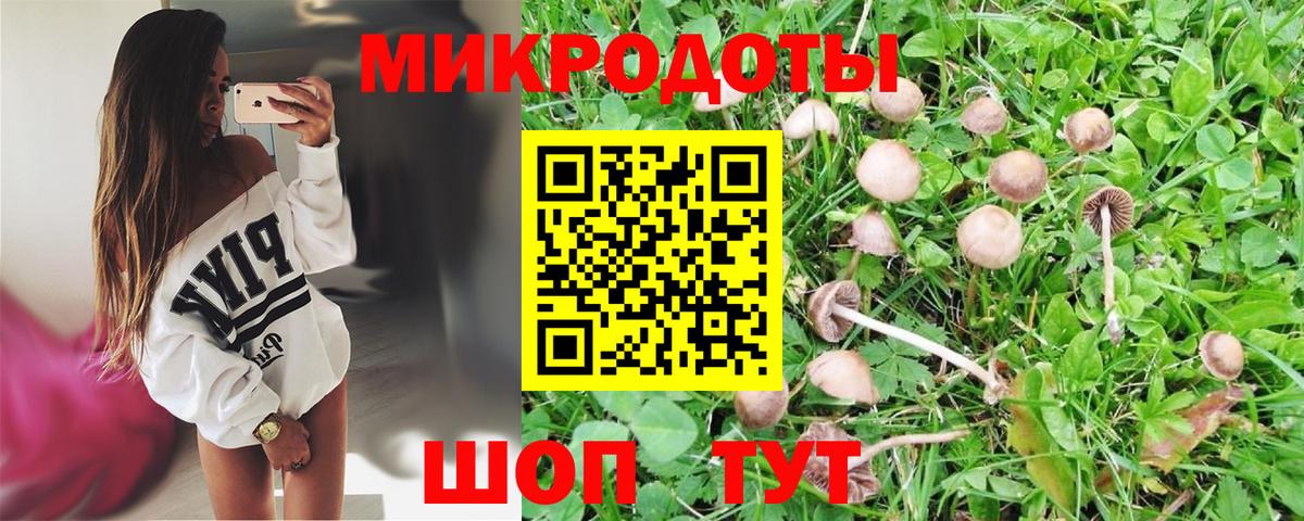 Псилоцибиновые грибы MAGIC MUSHROOMS Саяногорск