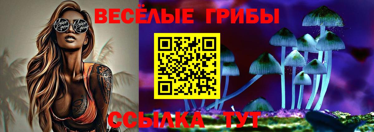 Псилоцибиновые грибы GOLDEN TEACHER  Вход с VPN  Саяногорск 